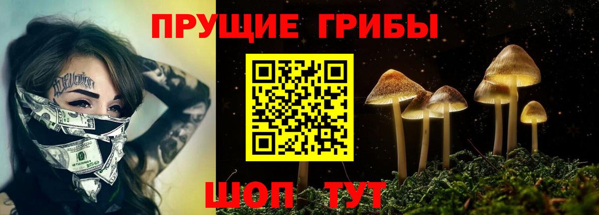 Псилоцибиновые грибы прущие грибы  Псилоцибиновые грибы Magic Shrooms  Северобайкальск  Вход с VPN 