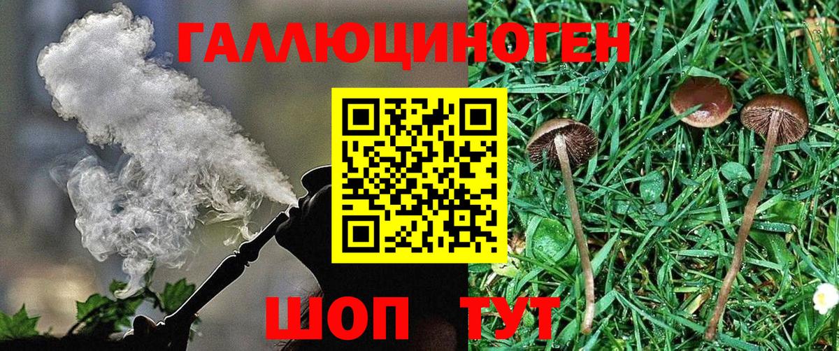 Галлюциногенные грибы ЛСД Северобайкальск